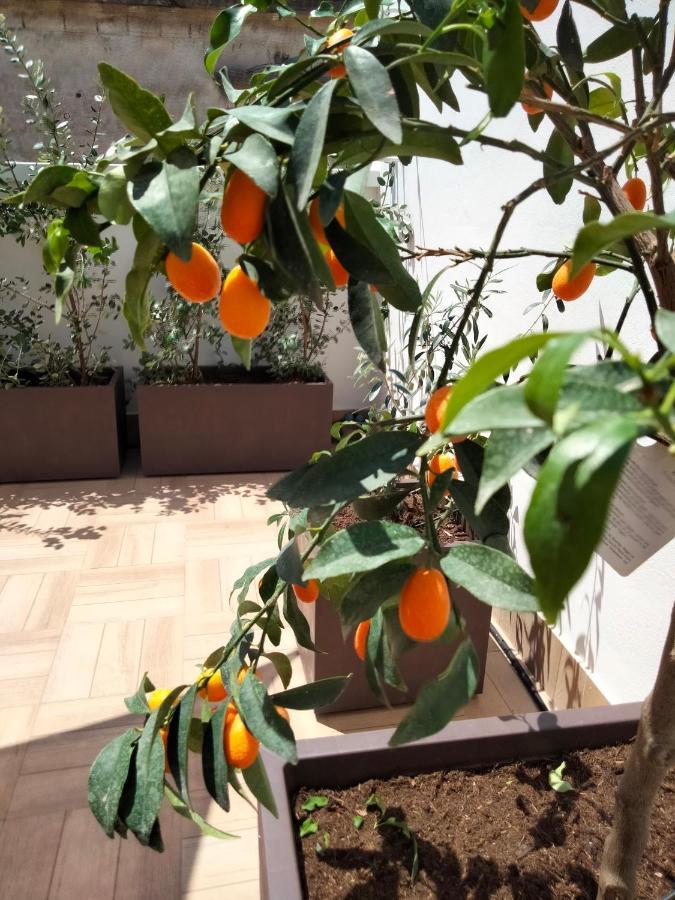Maison Chene con vasca idromassaggio Bisceglie Esterno foto
